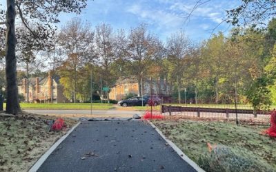 Random Hills Trail Connection Now Open