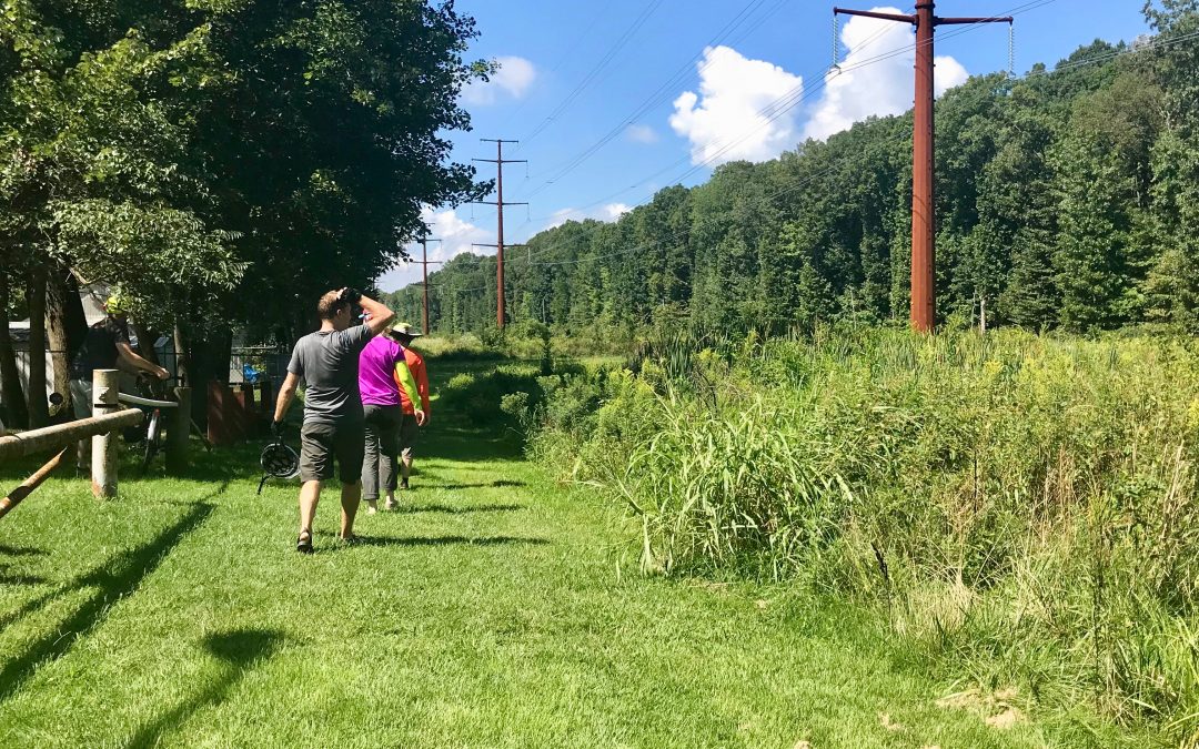 Speak Up for Huntley Meadows Park Trails