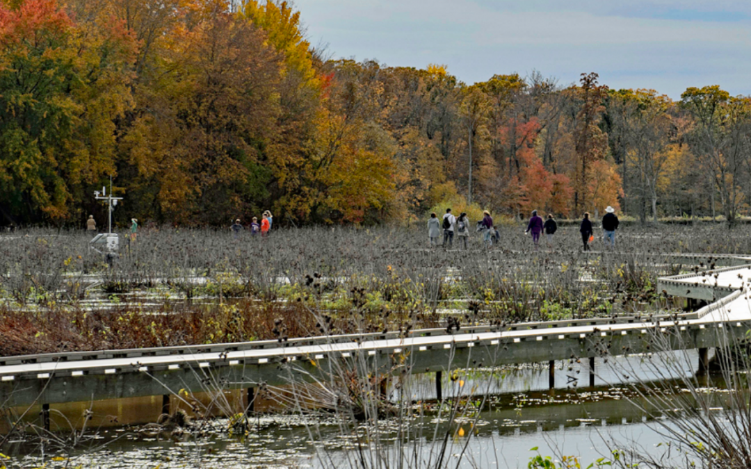 Huntley Meadows Park Trails Round Up