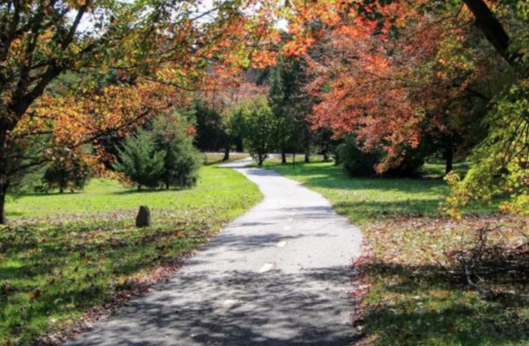 Last Chance to Make the Mount Vernon Trail Better