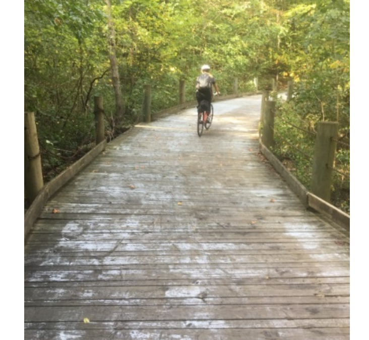 Needed Mount Vernon Trail Improvements Underway