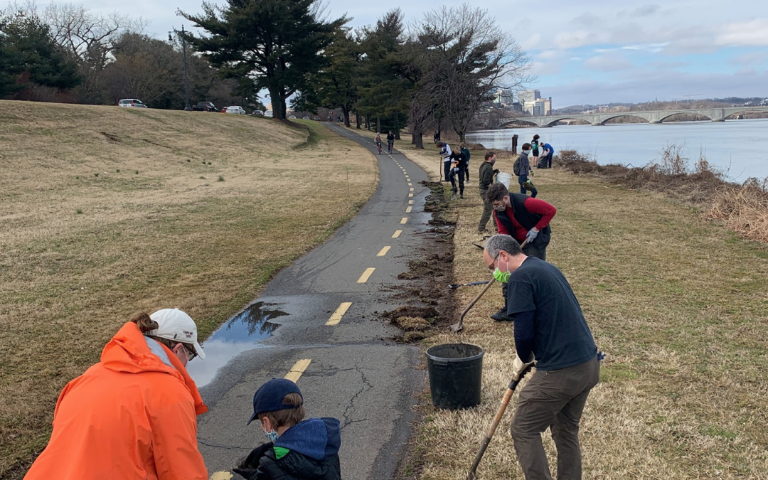 Help Make the Mount Vernon Trail Better