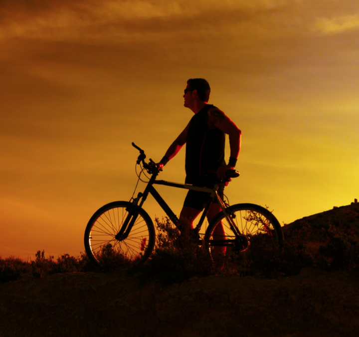 FABB’s End of Year Review