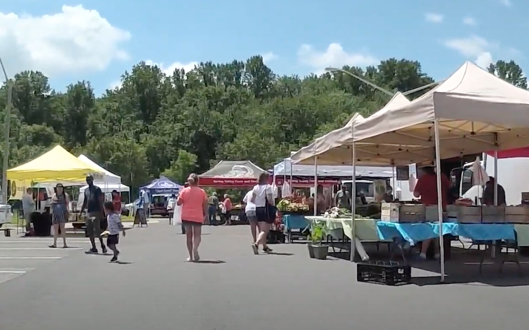 Help FABB Support Bike to Farmers Market Week