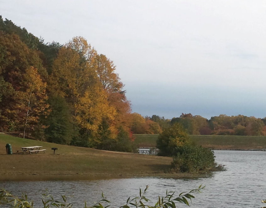 Speak Up! for Exciting New Royal Lake Park Trail Upgrades