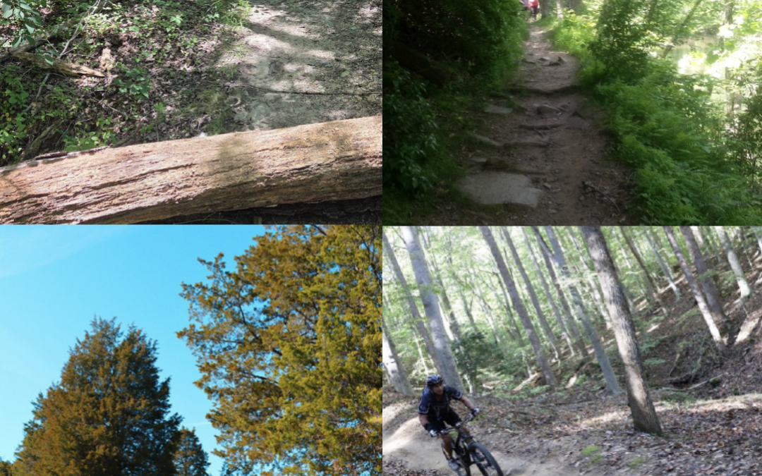 Celebrate International Ride MTB Day on July 20