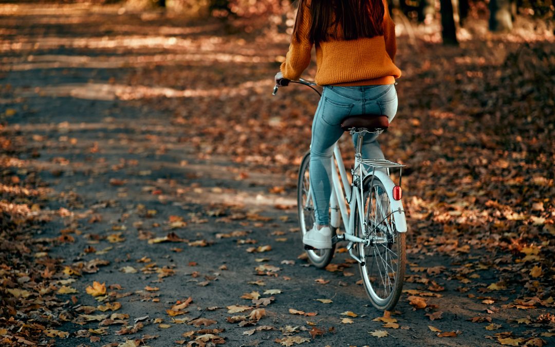 Speak Up! at Statewide Trails Plan Virtual Town Hall